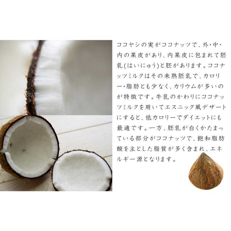 神戸スパイス ココナッツフレーク フィリピン産 5kg (500g×10袋) Coconut Flakes ココナッツファイン Fine ココナッツ_2