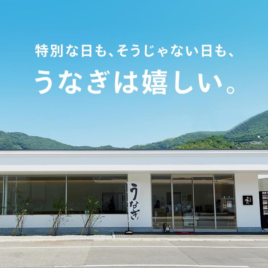 うなぎ屋かわすい 国産うなぎ蒲焼き（200g）2本セット（タレ付き 山椒別売り） 長焼き 約4人前 真空パック