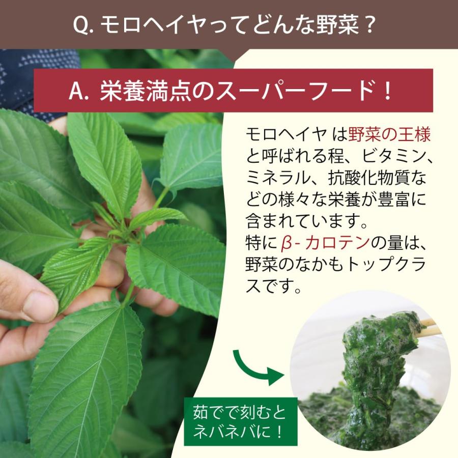 国産オーガニックサプリ いづものモロヘイヤ100 (1350粒入) 無添加 