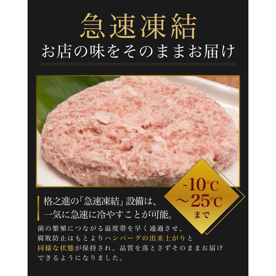 【黒毛和牛×ブランド豚 白金豚】格之進 白格ハンバーグ 冷凍 ギフト 10個セット ギフト 高級 贈り物 (120g×10個)の画像