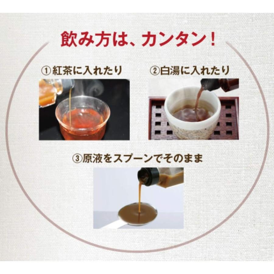 九州アスリート食品 長崎県産 生姜シロップ ジンジャーシロップ 国産 (3本)_2