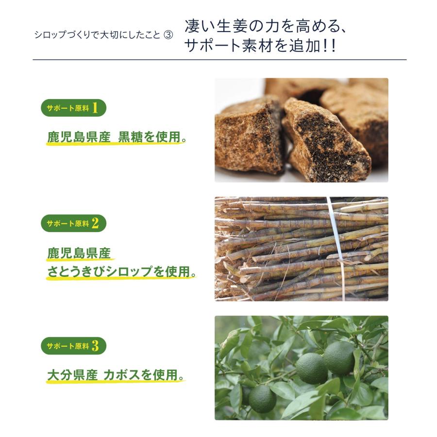 九州アスリート食品 長崎県産 生姜シロップ ジンジャーシロップ 国産 (3本)_5