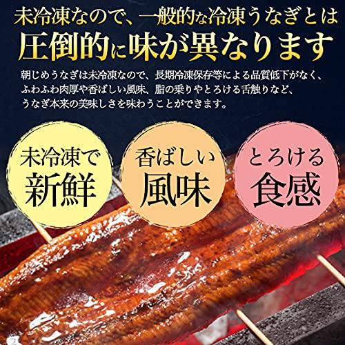 鰻 白焼き 国産 選べる 朝じめ うなぎ 白焼 ギフト 超特大 200〜250g × 2尾 未冷凍 お取り寄せグルメ 冷蔵お届け お中元 父の日 熨斗_4