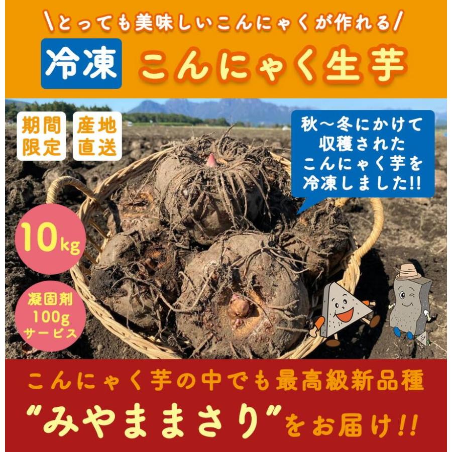 こんにゃくパーク 冷凍 こんにゃく芋 群馬県産 みやままさり 10kg 凝固剤100gサービス 手造りこんにゃくの画像