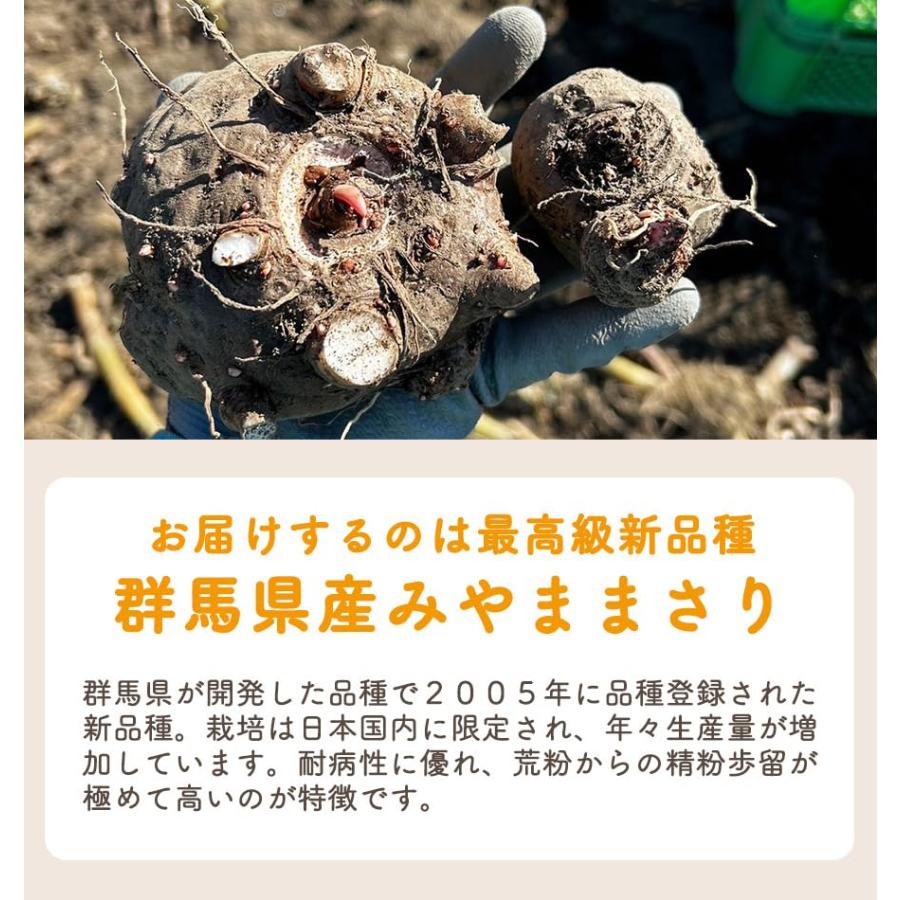 こんにゃくパーク 冷凍 こんにゃく芋 群馬県産 みやままさり 10kg 凝固剤100gサービス 手造りこんにゃくの画像
