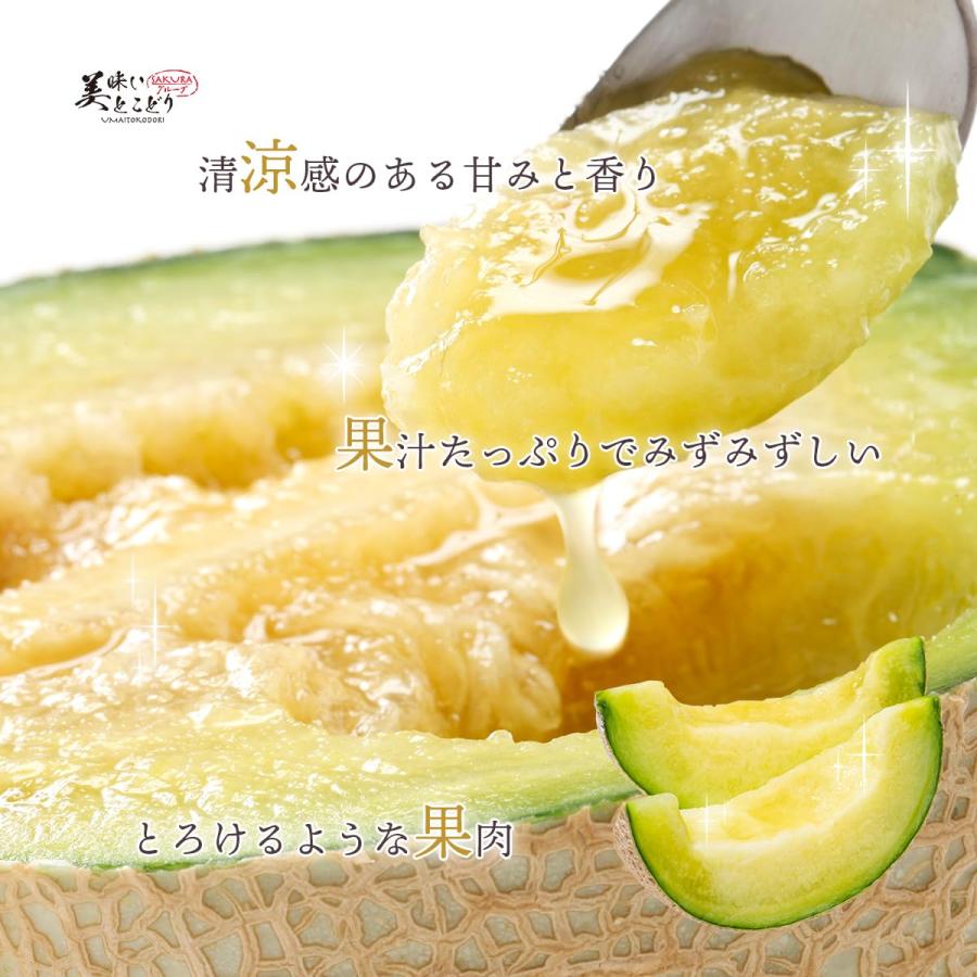 美味いとこどり マスクメロン 木箱 完熟 高級 特秀A ※野菜ソムリエが選別 メロン ギフト 贈り物_2