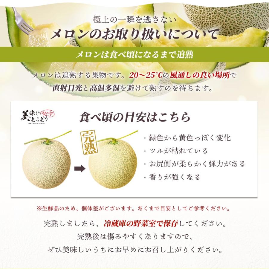 美味いとこどり マスクメロン 木箱 完熟 高級 特秀A ※野菜ソムリエが選別 メロン ギフト 贈り物_4
