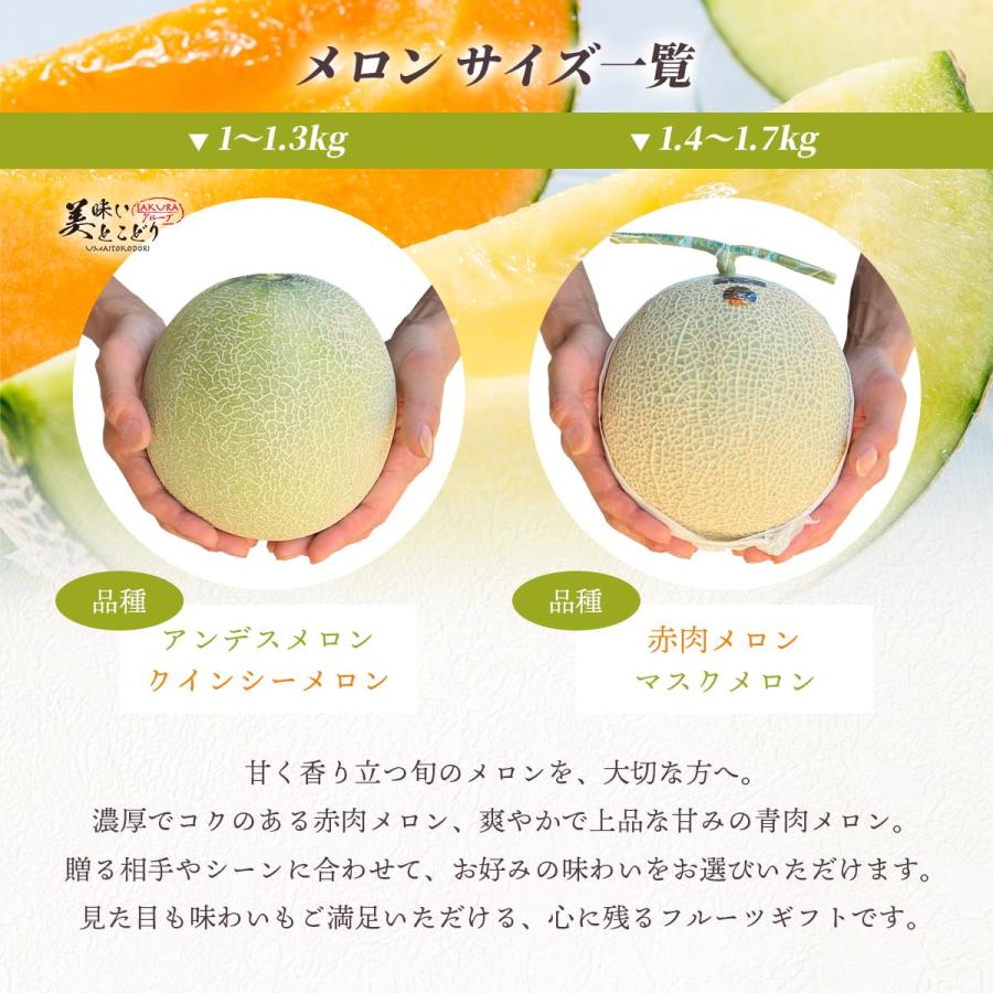 美味いとこどり マスクメロン 木箱 完熟 高級 特秀A ※野菜ソムリエが選別 メロン ギフト 贈り物_6