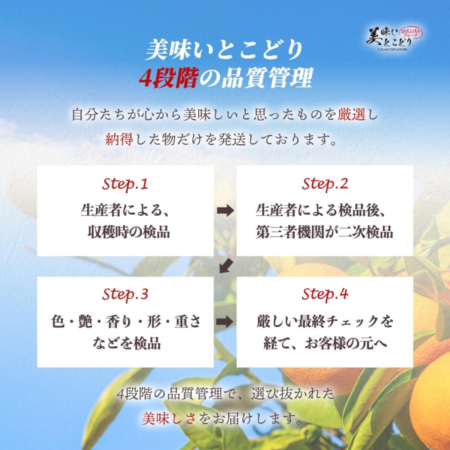 美味いとこどり マスクメロン 木箱 完熟 高級 特秀A ※野菜ソムリエが選別 メロン ギフト 贈り物_7