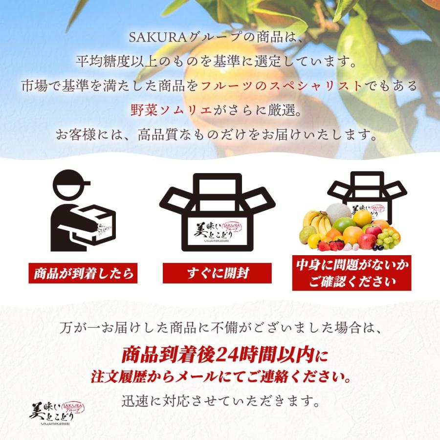 美味いとこどり マスクメロン 木箱 完熟 高級 特秀A ※野菜ソムリエが選別 メロン ギフト 贈り物_8