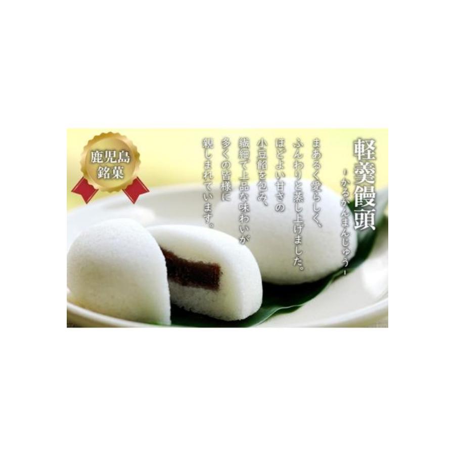 薩摩蒸気屋 】 かるかん饅頭 単品10個入 鹿児島 お菓子 ご自宅用※常温