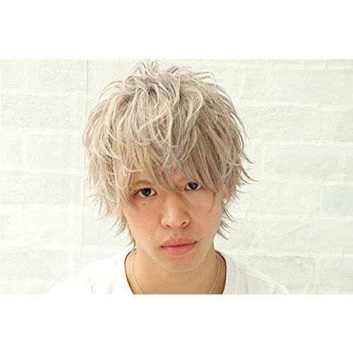 Pure Smile ピュアスマイル ヘアカラーワックス Mote Wax モテワックス Silver シルバー 無香料 エタノール Iestpsausa Edu Pe