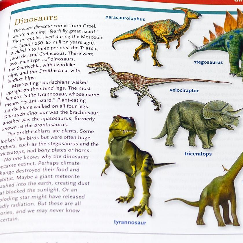 SCHOLASTIC Children's Dictionary NEWLY UPDATED スカラスティック