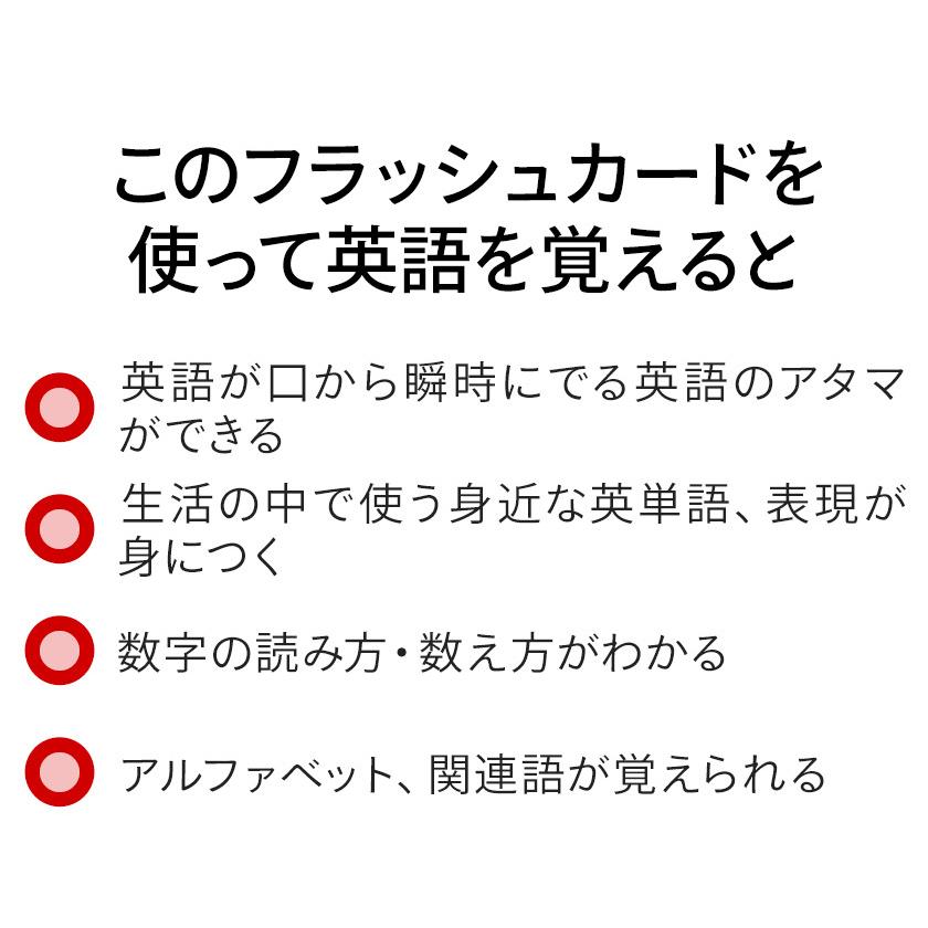 英語 フラッシュカード 102枚セット 送料無料 スカラスティック 英語カード 英語教材 子供英語 子ども 幼児 英語 こども 小学生 知育 厚紙 カード Ame Flashcards102 英語伝 Eigoden 通販 Yahoo ショッピング