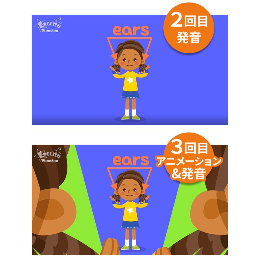 キッズ英語 DVD 英語辞典 FOR KIDS ENGLISH Singsing 小冊子 えいご絵じてん付属 子供 英語教材 発音 英単語｜eigoden｜03