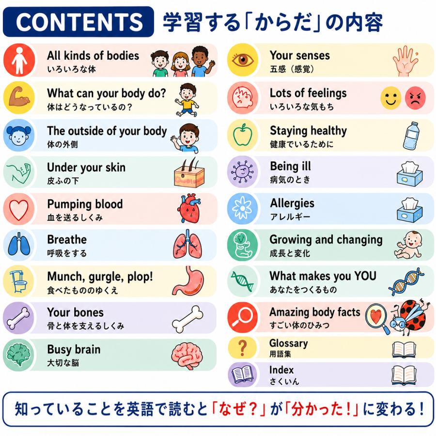 イギリスの子ども参考書4冊セット 正規販売店 STEM教材 英語で学ぶ