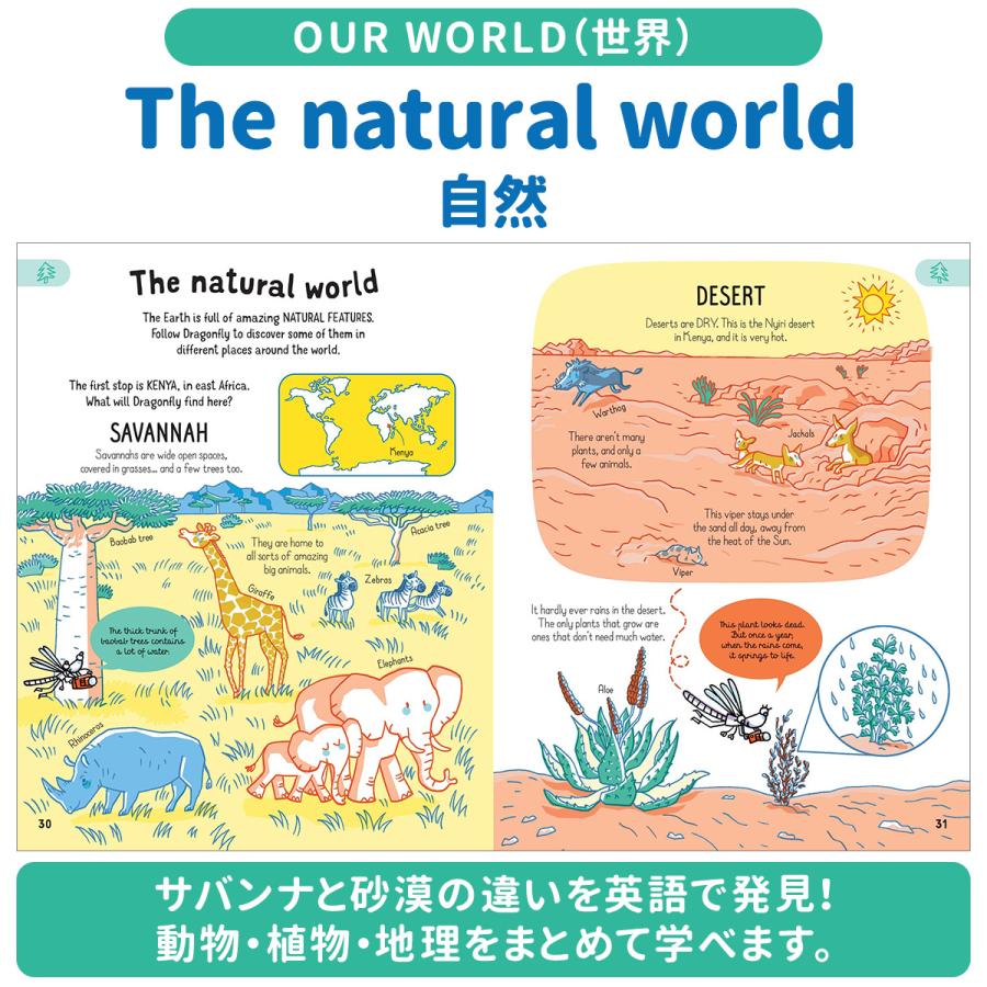 イギリスの子ども参考書4冊セット 正規販売店 STEM教材 英語で学ぶ