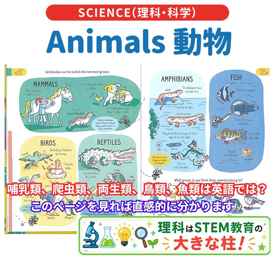 イギリスの子ども参考書4冊セット 正規販売店 STEM教材 英語で学ぶ