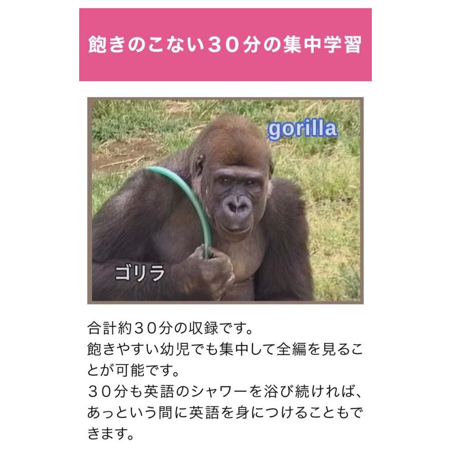 英語のきほん 英単語とフレーズ DVD 正規販売店 送料無料 NIKK映像