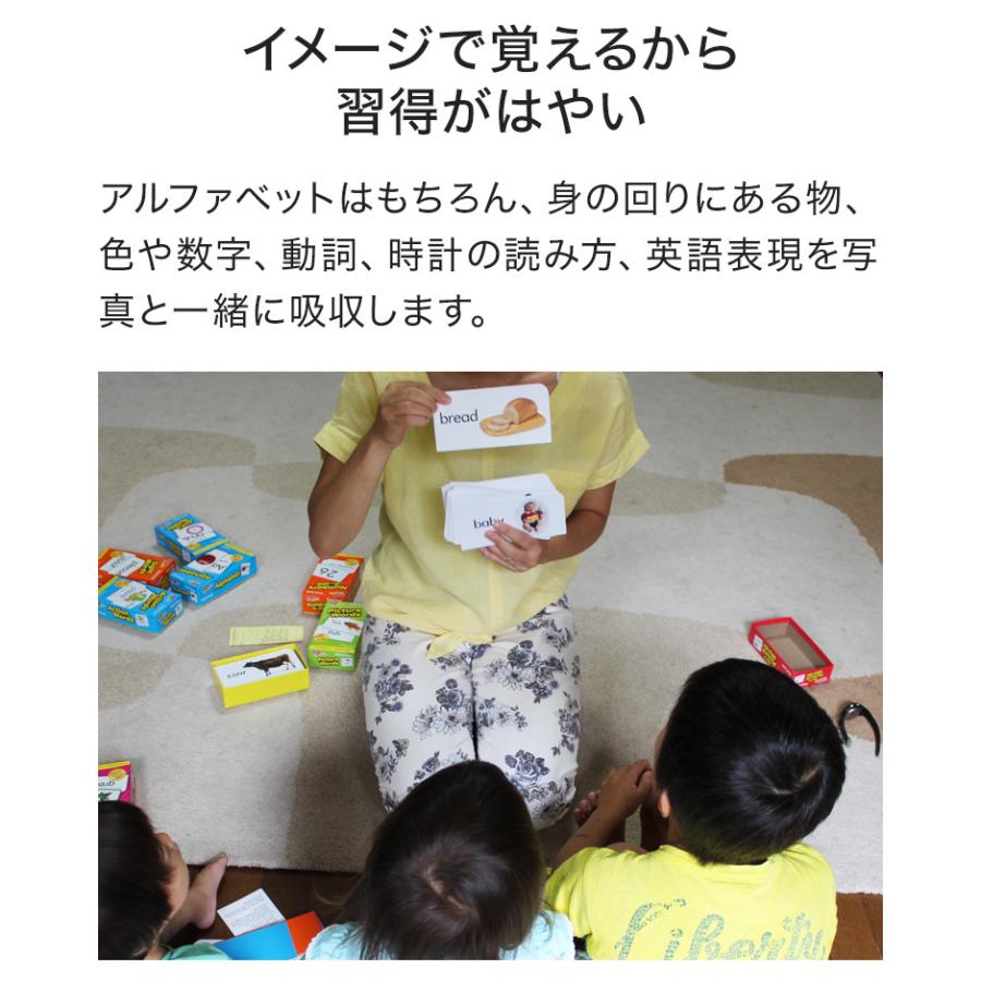 特典付 英語 フラッシュカード 750枚セット 送料無料 子供 幼児 特典付 英語 フラッシュカード 750枚セット 送料無料 子供 幼児