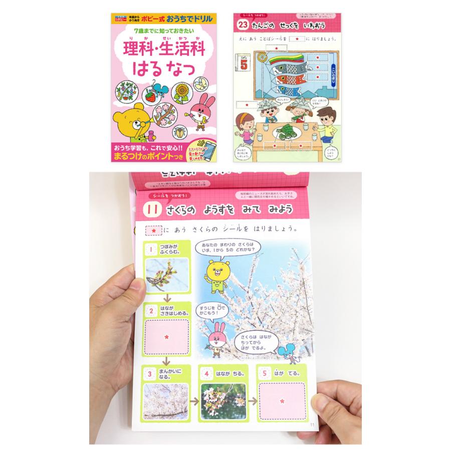 ポピー式おうちでドリル 国語算数理科生活 自宅で学べる 全12冊セット