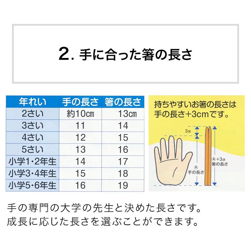 六角知能箸 せいわ 日本製 おはし 箸 食洗機対応 送料無料 子供 六角 お箸 練習 矯正 トレーニング 持ち方 子供用 食洗機 男の子 女の子 3歳 4歳 5歳 6歳 幼稚園 Siw 6chiouhashi 英語伝 Eigoden 通販 Yahoo ショッピング