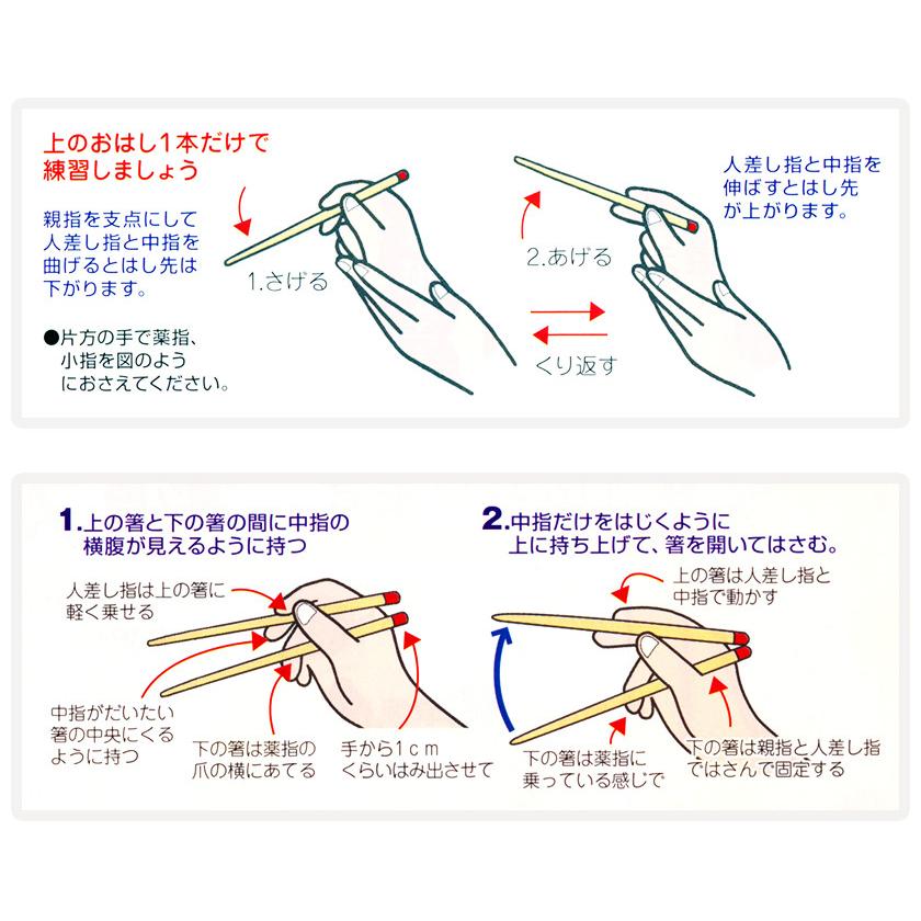 正規品 本格六角箸 天然漆仕上げ 子供用 箸 せいわ 日本製 食洗器は使えません 日本製 矯正箸 六角知能箸 持ち方 2歳 3歳 4歳 5歳 6歳 お箸トレーニング｜eigoden｜04