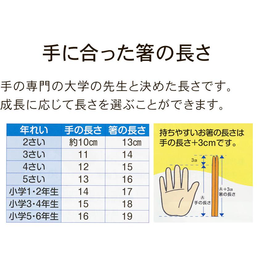 正規品 本格六角箸 天然漆仕上げ 子供用 箸 せいわ 日本製 食洗器は