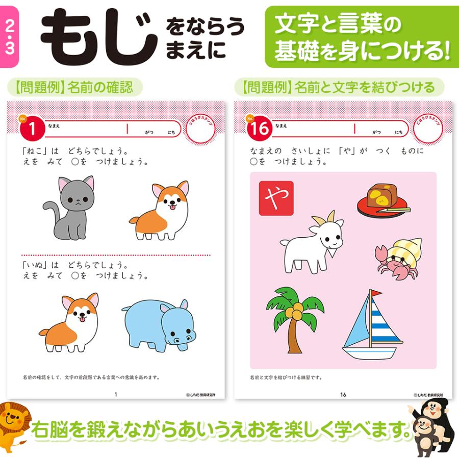 シルバーバック 七田式 知力ドリル 2歳 3歳 10冊セット しちだ シルバーバック 七田式 知力ドリル 2歳 3歳 10冊セット しちだ