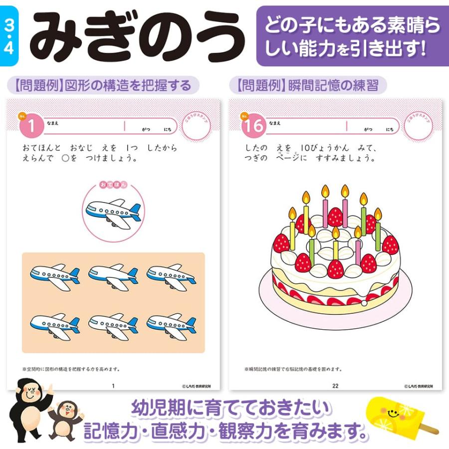 シルバーバック 七田式 知力ドリル 3歳〜4歳 10冊セット 七田式