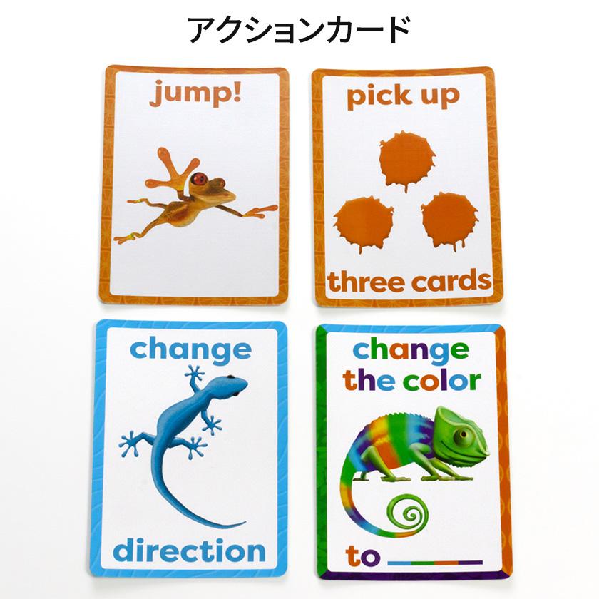 英語学習用 Picture Cards セット 英語学習用 Picture Cards