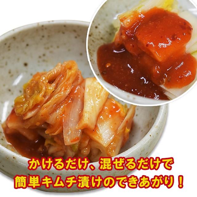 ベル食品 三栄キムチの素 950g 6個セット ベル 北海道 キムチ キムチの素 三栄 キムチ漬け 調味料 薬味 素 業務用 1箱 1ケース 6 北海道ベル食品ストア 通販 Yahoo ショッピング