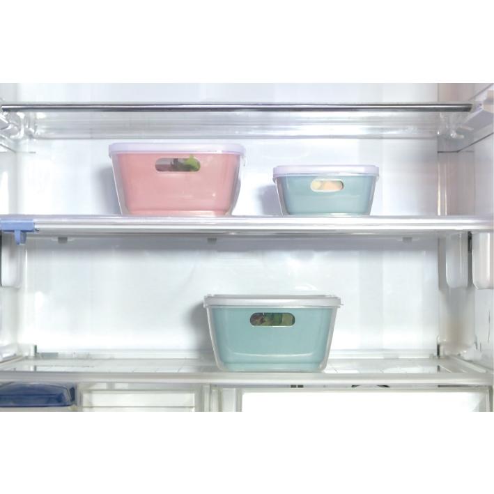 ザル＆パック 大小2点セット 野菜水切り メッシュかご ボウル 保存