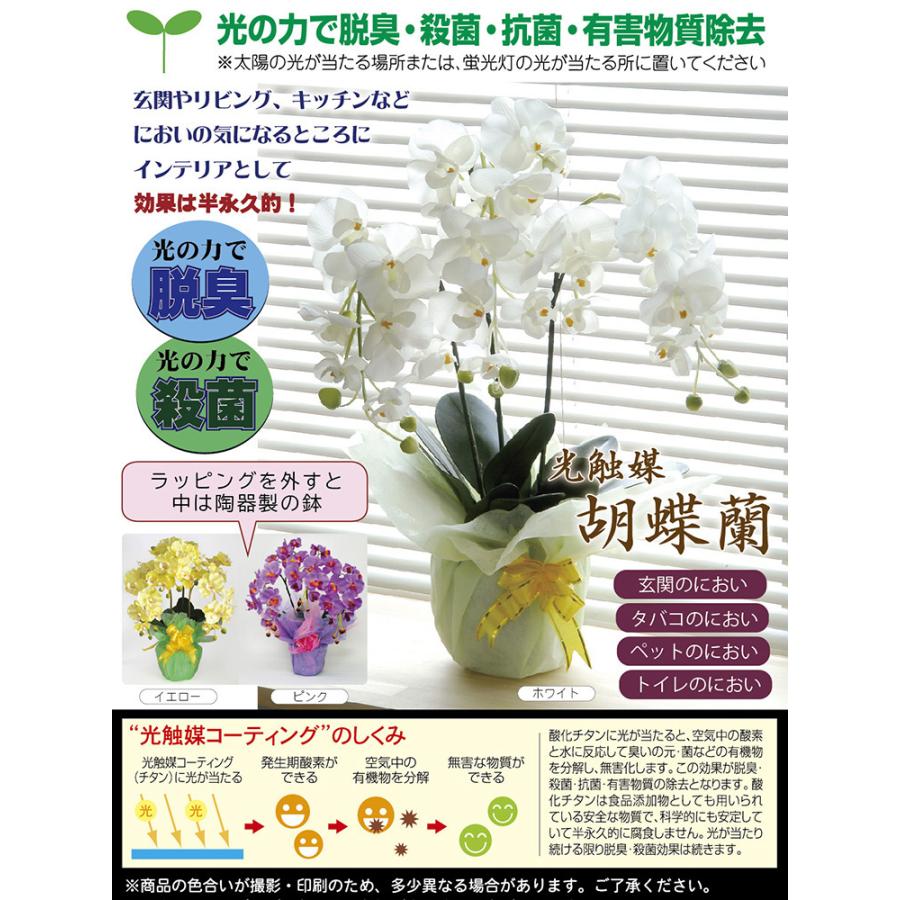 光触媒 胡蝶蘭 ピンク 造花 贈り物 インテリア 抗菌 イミテーション