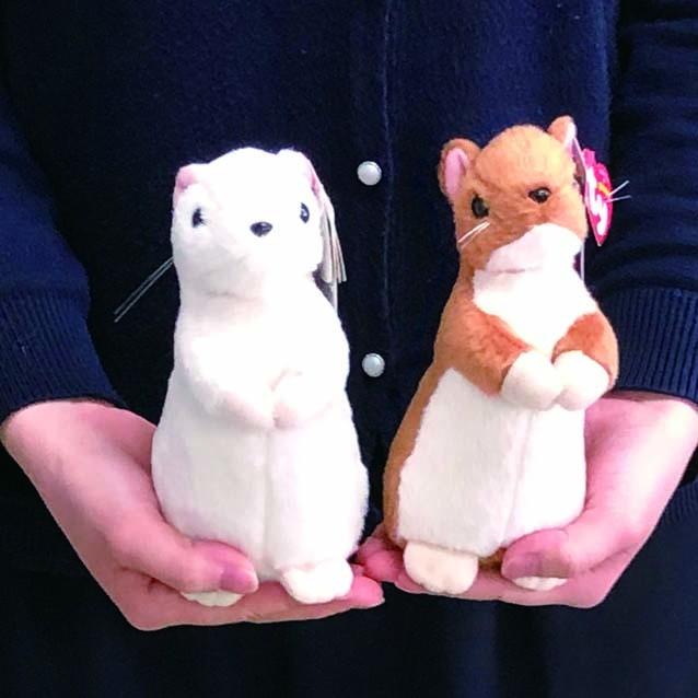 おこじょぬいぐるみ S タイインク Ty Inc. プレゼント : エイコー