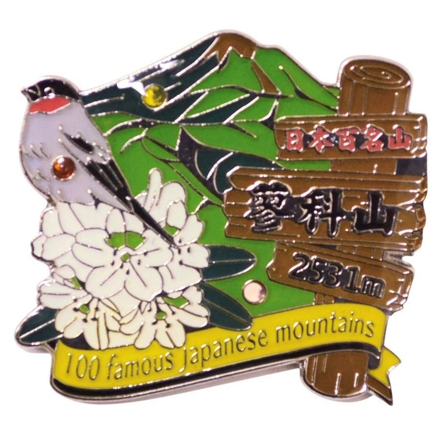 アルピコグループ創立100周年ピンバッジ　エディション付き アルピコグループ創立100周年ピンバッジ エディション付き アルピコ