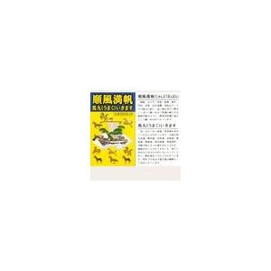 順風満帆・九頭馬ブレス＜上手く行くカード付き＞_2