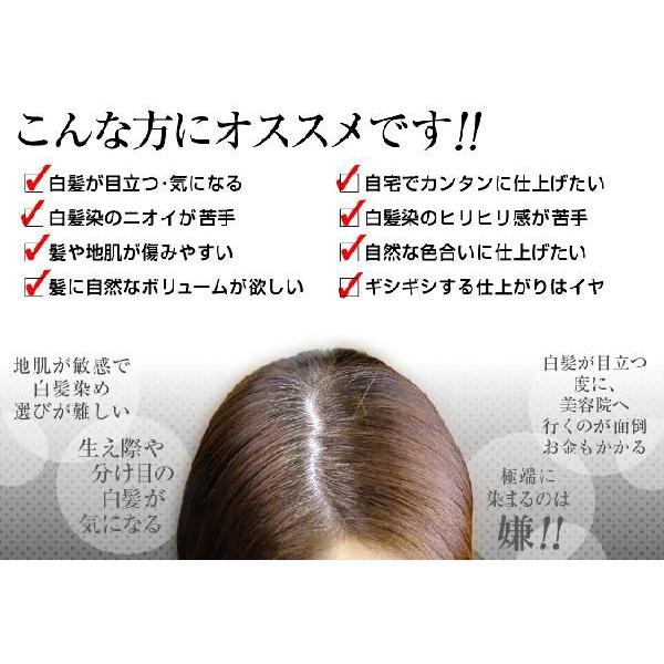 利尻昆布エキス配合 ふんわり仕上がるカラートリートメント ブラック