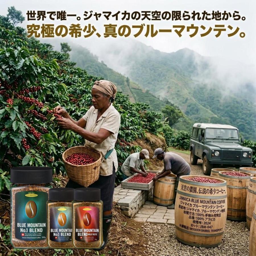 ハマヤ ブルーマウンテンNo.1ブレンド 100g瓶 6本 カフェの珈琲 自宅で