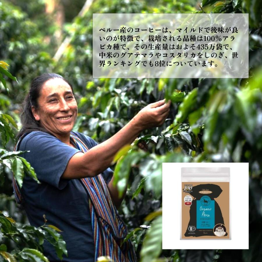 ハマヤ 高級 ドリップコーヒー 12パック アラビカ豆100％ ハマヤ創業
