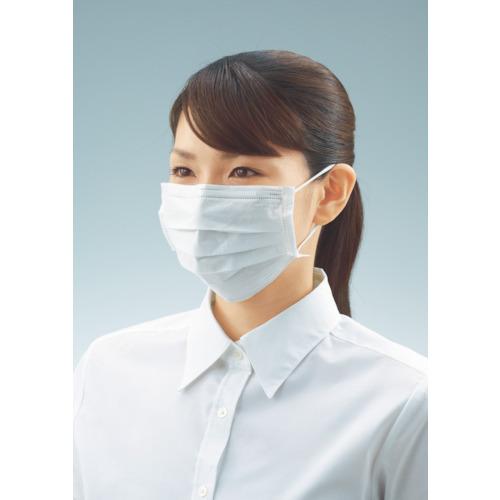 TRUSCO(トラスコ中山):緑茶カテキンマスク (1Pk(箱)＝50枚入) TRCM-L オレンジブック 4217390 TRUSCO中山 TRUSCO 日本製 緑茶カテキンマスク 個包装 50枚入