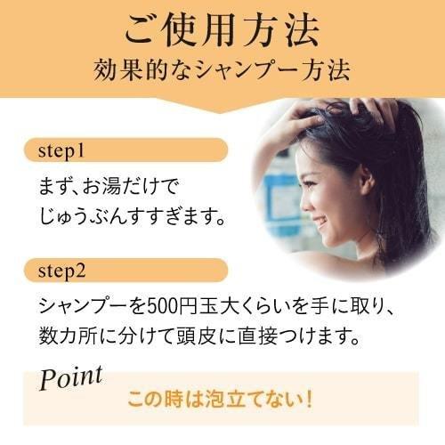 好評限定品 イオニート ジアニストPayPayモール店 - 通販 - PayPayモール フルーティーエキストラシャンプー レモン 1000mL 全国無料新作