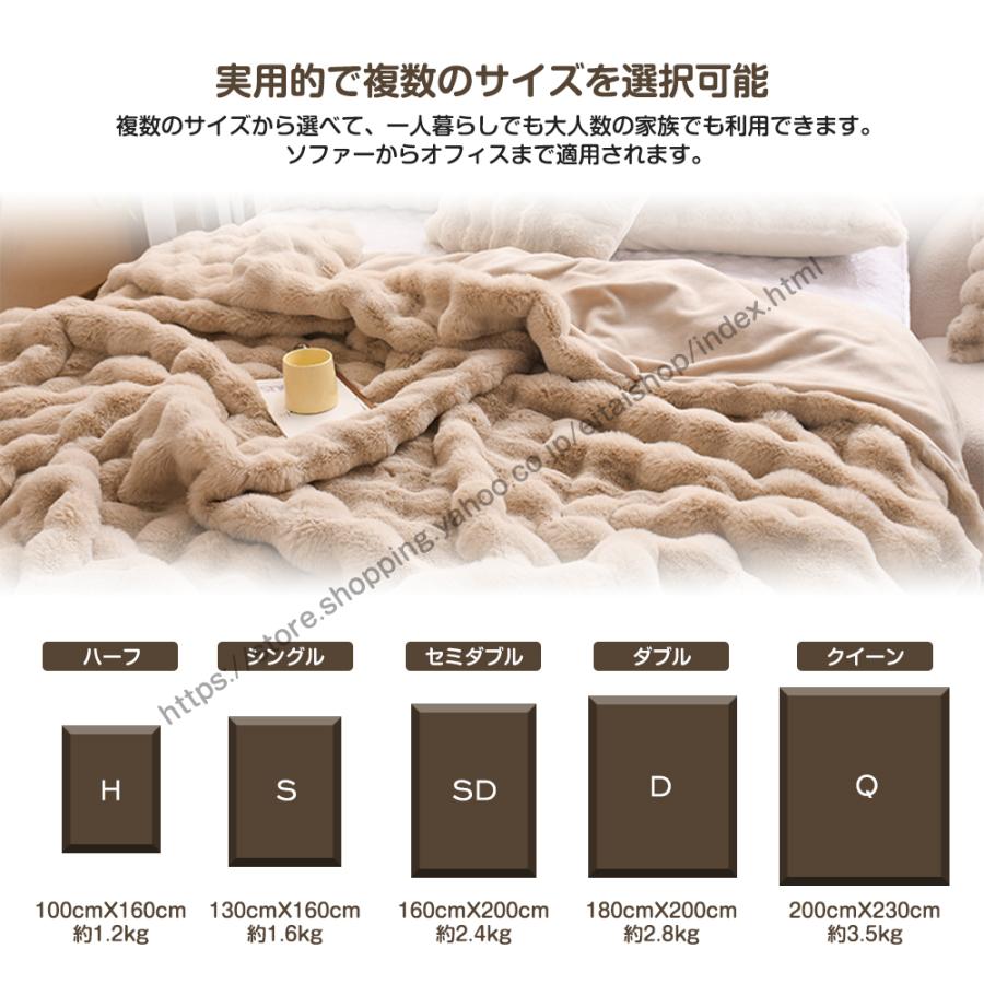TV・SNSで話題沸騰／毛布 ふわとろ毛布 ふわもこ毛布 もこもこ毛布 2枚