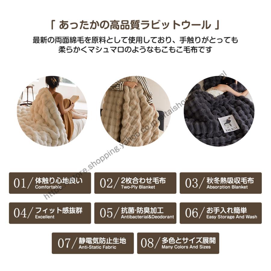 TV・SNSで話題沸騰／毛布 ふわとろ毛布 ふわもこ毛布 もこもこ毛布 2枚