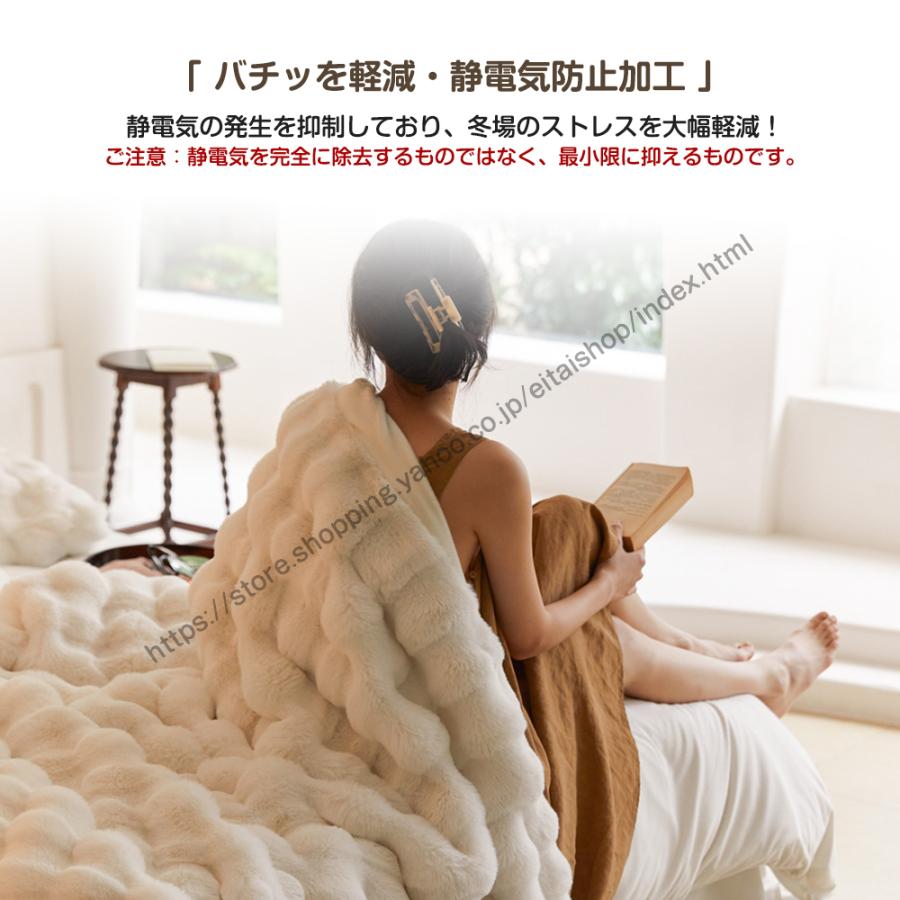 TV・SNSで話題沸騰／毛布 ふわとろ毛布 ふわもこ毛布 もこもこ毛布 2枚