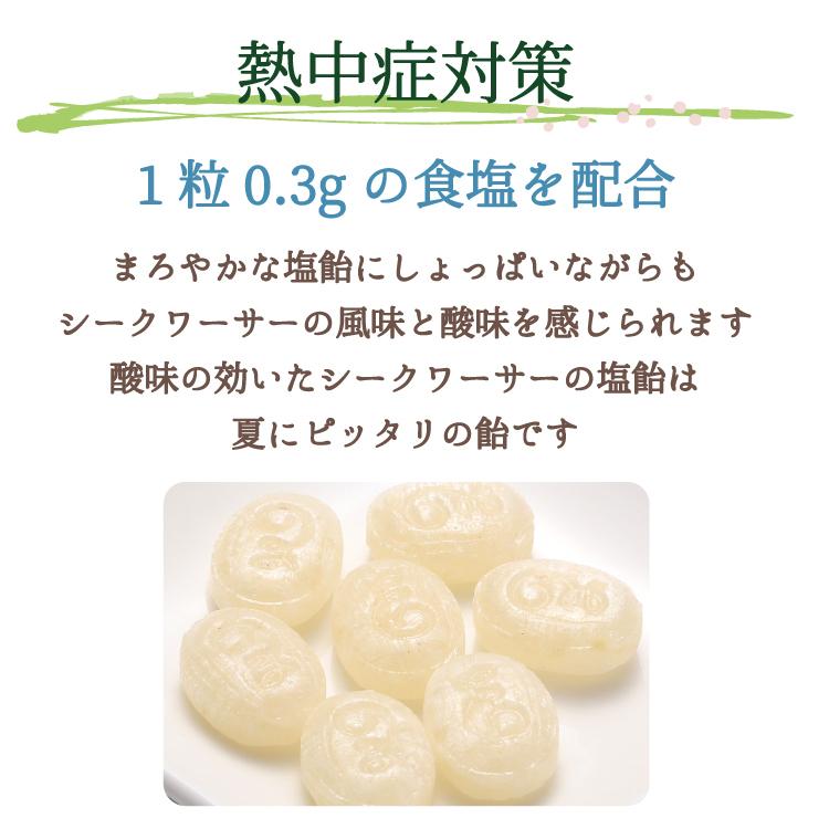 榮太樓 敬老 七五三 ギフト 酸ぃ〜くわーさー 塩飴 100g 約22粒