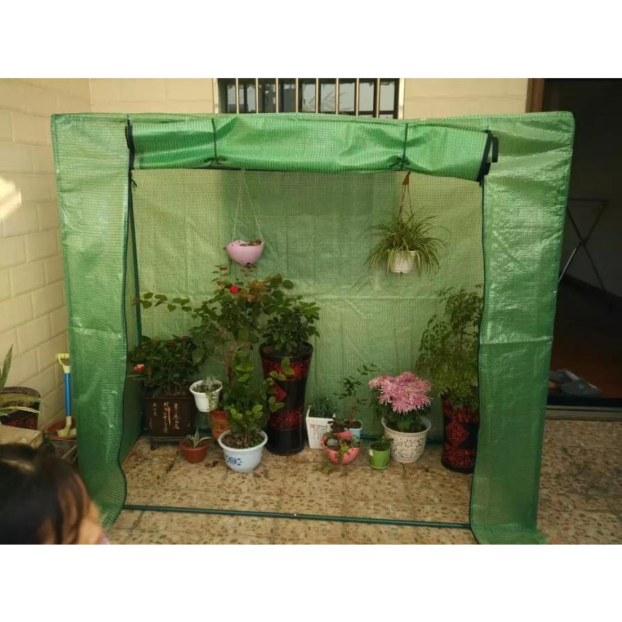 大注目 園芸温室 Pe素材 スチール 16mmパイプ ビニールハウス 温室 ガーデンハウス グリーンハウス 育苗 菜園 冬 プランター 専用 最安値挑戦 Alburhan In