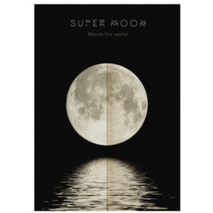 スーパームーン supermoon 月相 月柄 暖簾のれん おしゃれ 北欧 お部屋