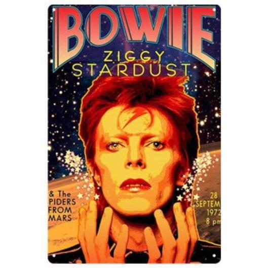 デヴィッド・ボウイ David Bowie 歌手 シンガーソングライター