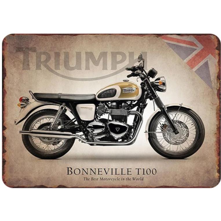 トライアンフ TRIUMPH BONNEVILLE T100 オートバイ バイク アメリカン